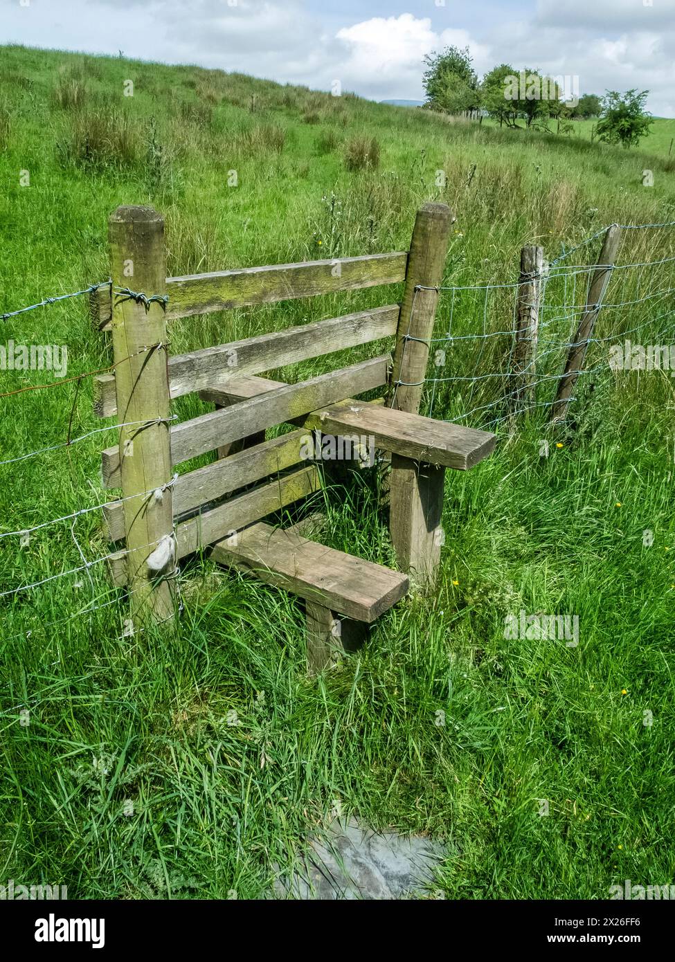 Das Bild zeigt einen offenen Stufenstiel aus dem Landzaun. Diese sind in Ordnung, solange Ihre Knie und Hüften in Ordnung sind, aber Sie haben keine Chance, kleine Kinder und Hunde über diesen Ständer zu bekommen, und beide erfordern, dass sie über den Ständer angehoben werden. Und warum werden die Pfosten abgeschnitten, dann nichts, an dem man festhalten kann Stockfoto
