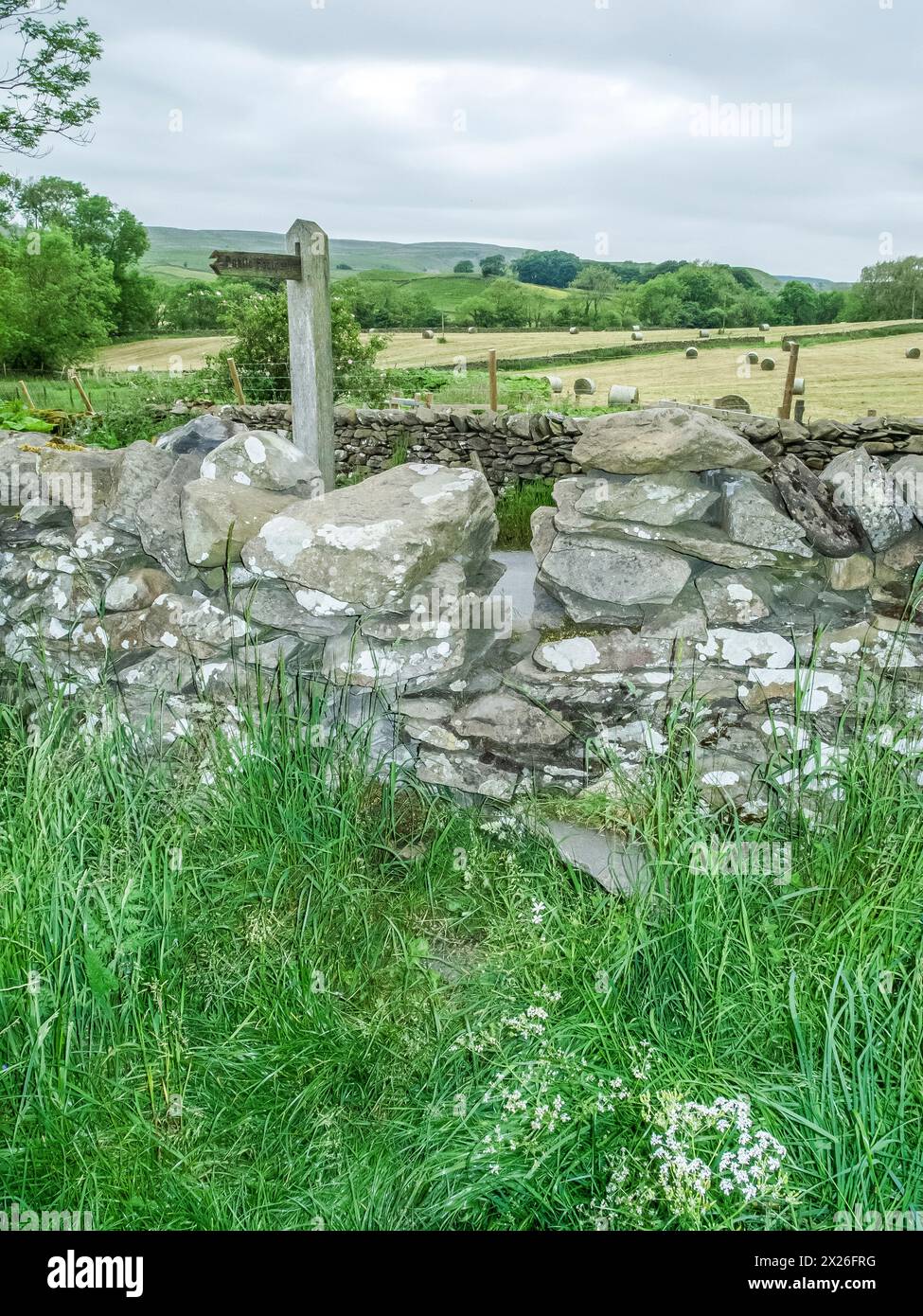 Das nennt man einen lächerlichen GAP Wall Stile auf einem öffentlichen Fußweg in den Yorkshire Dales, mit der Lücke so eng, dass man keinen Fuß hindurchschieben kann. Was du dann tun musst, ist zu versuchen, darüber zu klettern Stockfoto