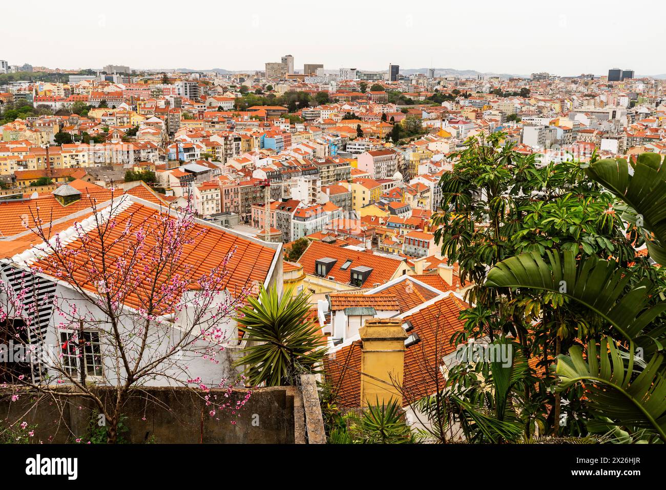 Erhöhter Blick auf das wunderschöne Lissabon, die Hauptstadt Portugals. Stockfoto