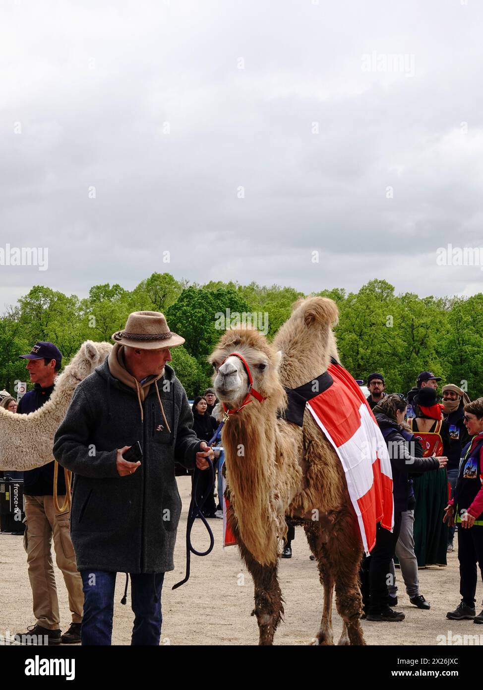 Paris, Frankreich, Europa, 20. April 2024: Kamelparade Paris. Eine Menschenmenge wartet geduldig auf der Esplanade des Château de Vincennes, als Kamele, Dromedare und andere große Artiodactyl-Säugetiere zum Schauplatz kommen, um 2024 zum Internationalen Jahr des Kamelids der Vereinten Nationen zu feiern. Die unter dem Namen „L’Incrovable Défilé“ bekannte Parade wird von mehreren Gruppen gesponsert, darunter der FFDCFE, der Federation Francaise pour le Developpement des Camelidés en France et en Europe, der Französischen Föderation für die Entwicklung von Kamelen in Frankreich und in Europa. Stockfoto