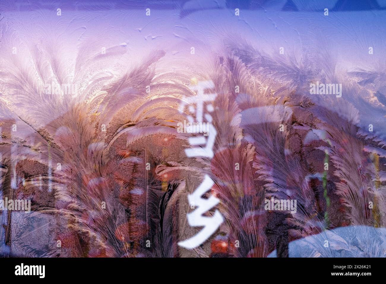Heilongjiang Harbin Eisblume Stockfoto