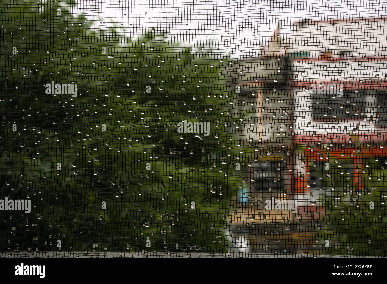 Regenwassertropfen auf Gaze-Fenster mit Hintergrund von Pflanzen und Gebäuden. Stockfoto