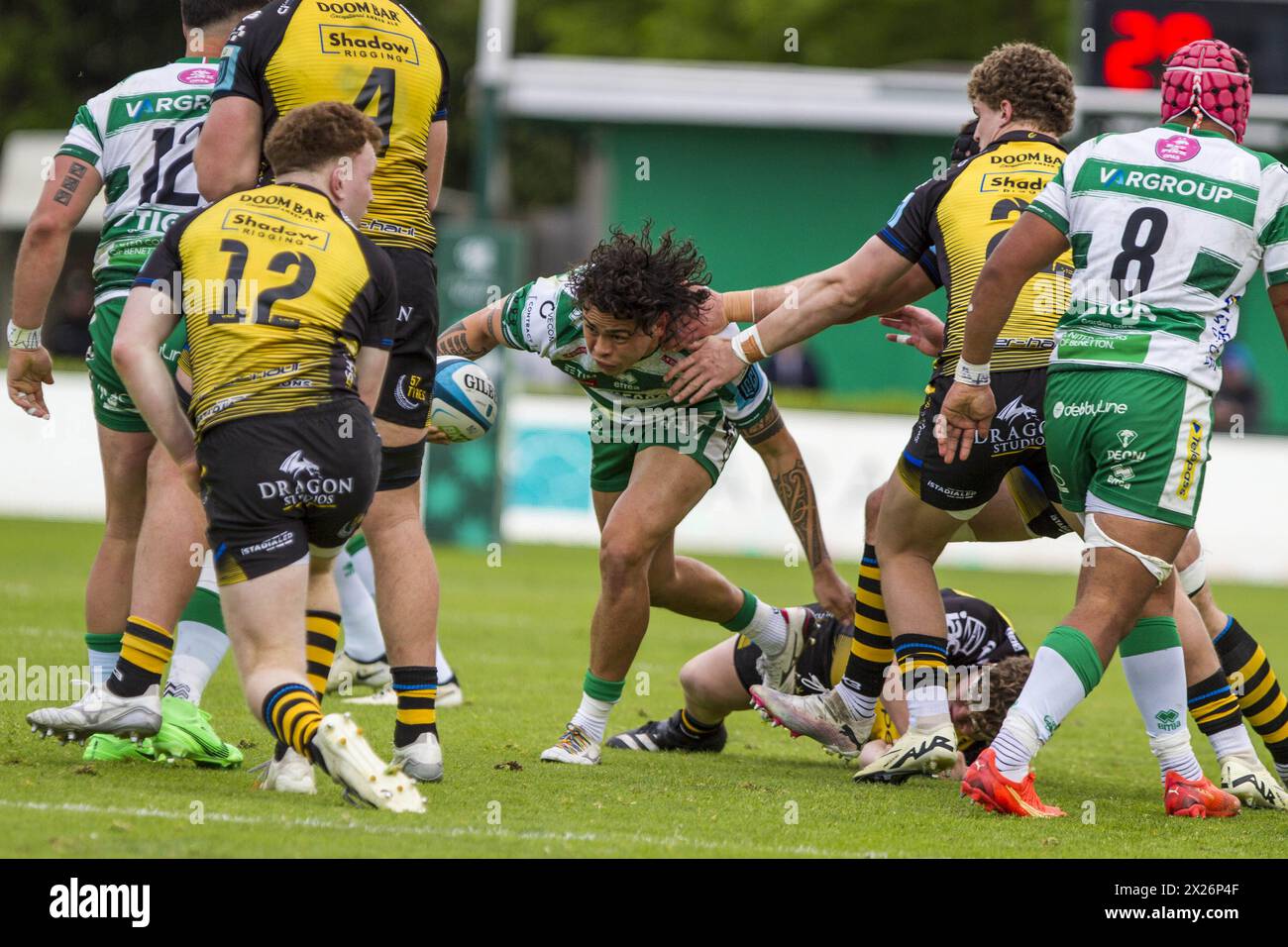 Treviso, Italien. April 2024. 20.04.2024; Foto Alfio Gurise; URC; Stadio Monigo Treviso; Benetton Treviso vs Dragons Rugby; Rugby; während Benetton Rugby vs Dragons, United Rugby Championship Match in Treviso, Italien, 20. April 2024 Credit: Independent Photo Agency/Alamy Live News Stockfoto