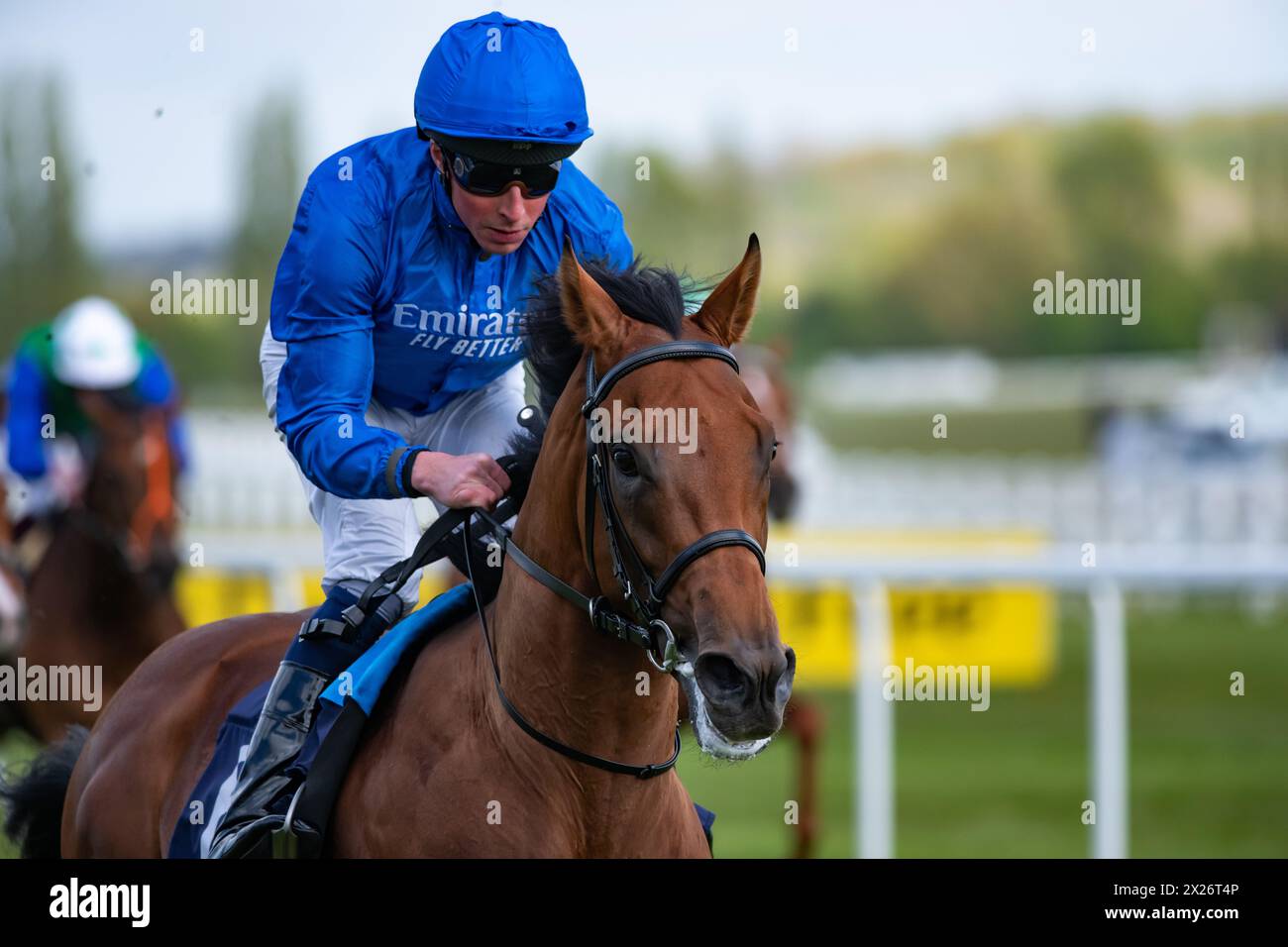 Hidden Law und William Buick gewinnen die Darley Constriced Maiden Stakes für Trainer Charlie Appleby und Eigentümer Godolphin. Credit JTW equine Images / Alamy Stockfoto