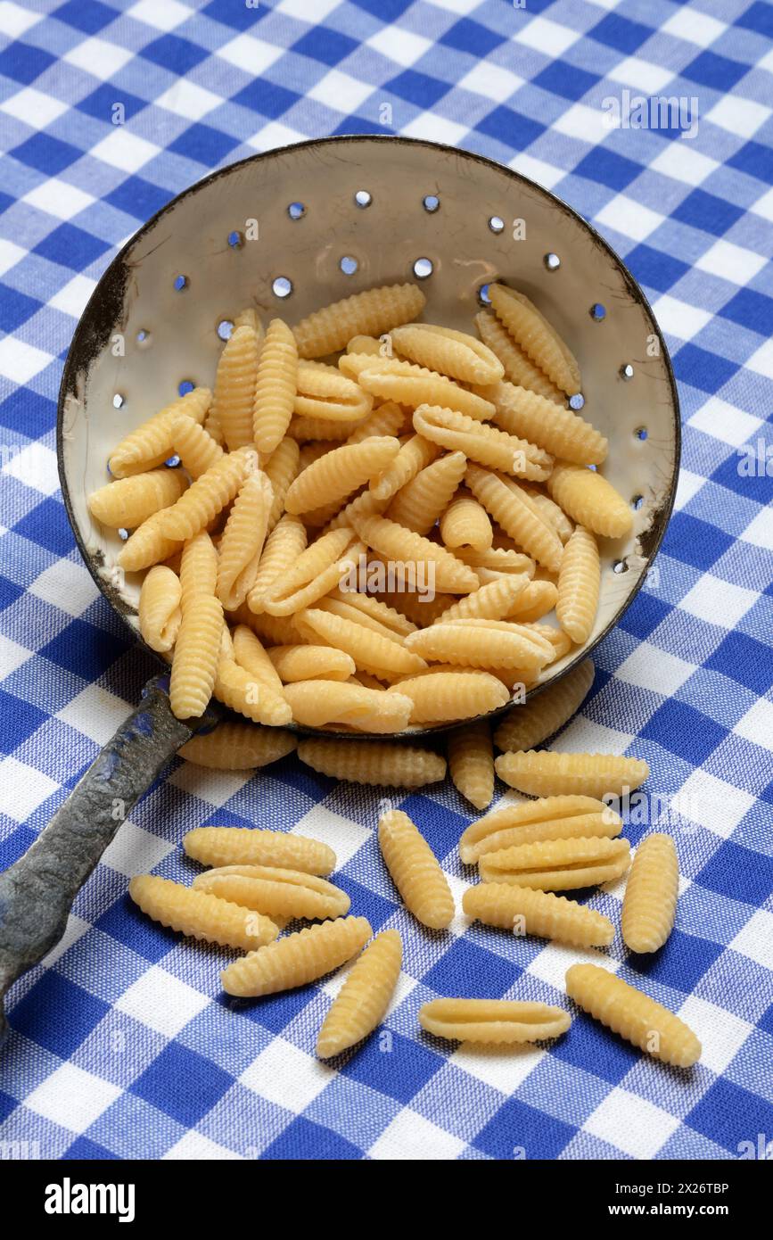 Malloreddus, sardische Gnocchetti, traditionelle Nudelsorte aus Sardinien, Italien Stockfoto