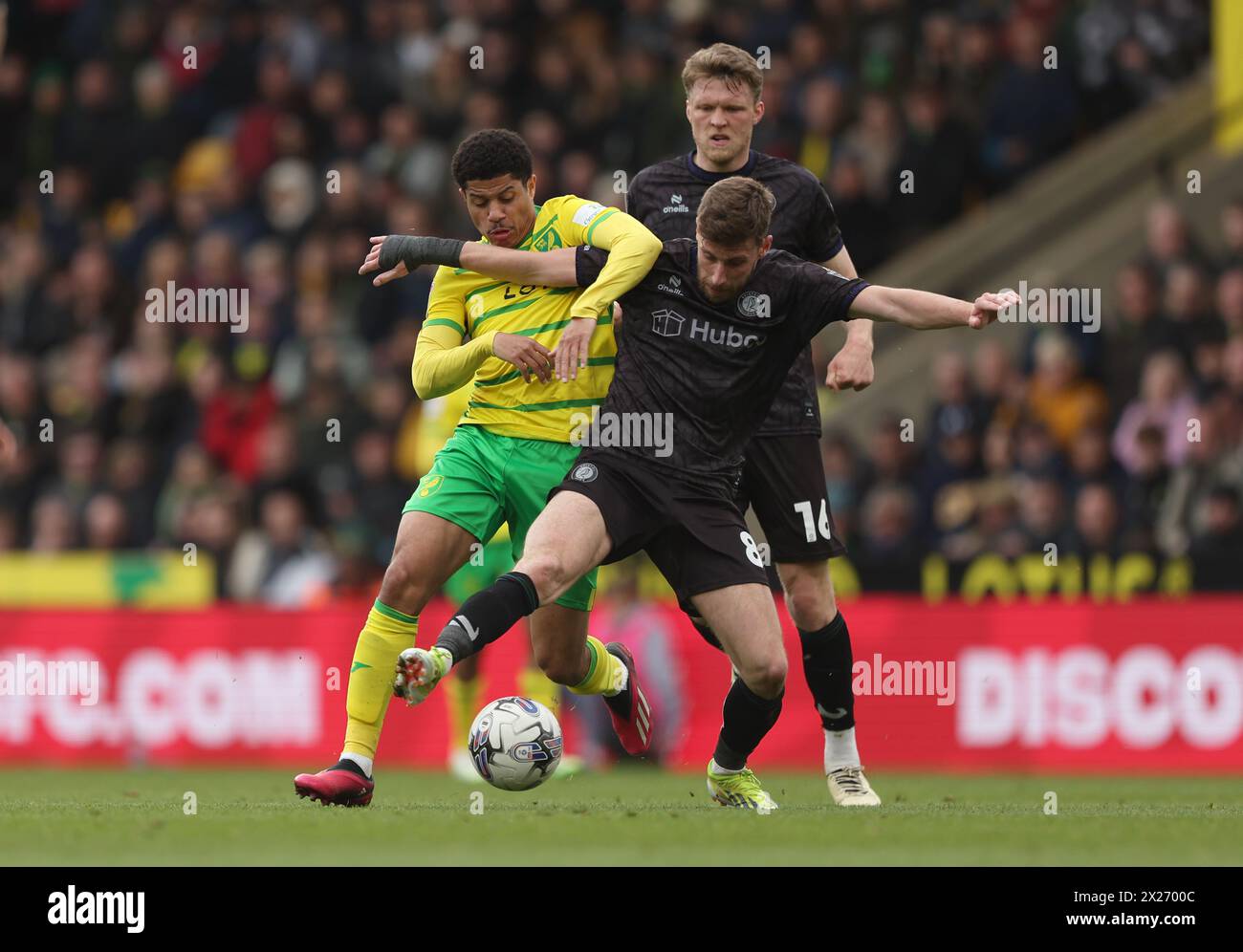 Joe Williams von Bristol City (rechts) und Gabriel Sara von Norwich City kämpfen um den Ball während des Sky Bet Championship Matches in der Carrow Road, Norwich. Bilddatum: Samstag, 20. April 2024. Stockfoto