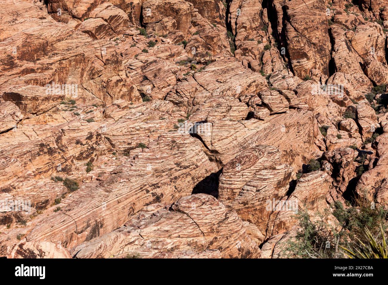 Red Rock Canyon, Nevada.  Calico Hills, Kreuz-Bettwäsche in Aztec Sandstein aus alten Sanddünen. Stockfoto