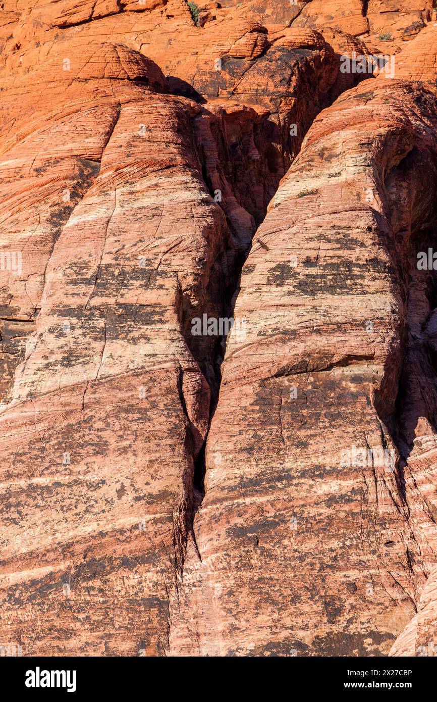 Red Rock Canyon, Nevada.  Calico Hills, Kreuz-Bettwäsche in Aztec Sandstein. Stockfoto