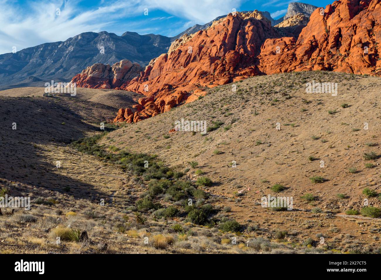 Red Rock Canyon, Nevada.  Calico Hills.  Vegetation folgt Wasserlauf. Stockfoto