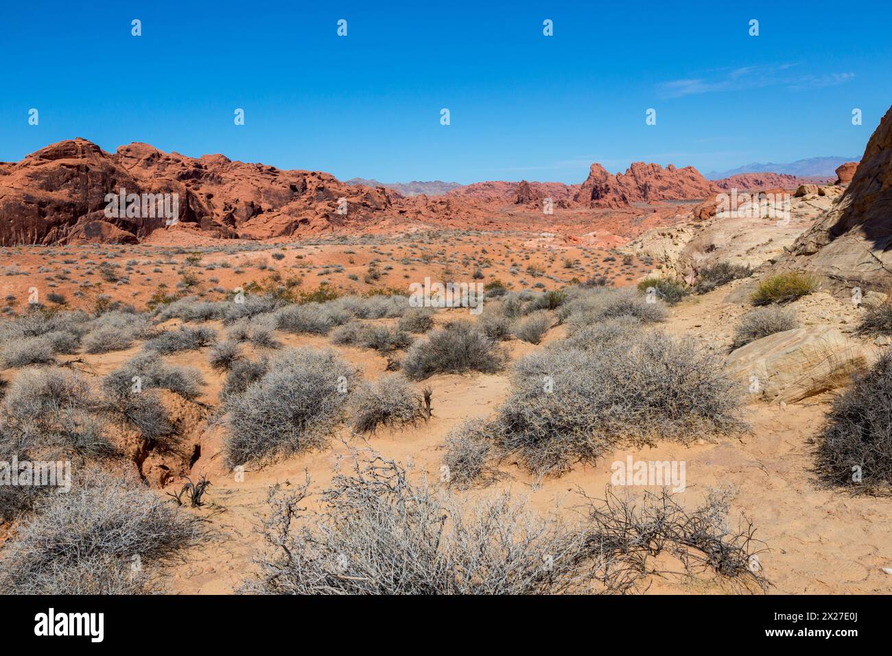 Valley of Fire, Nevada.  Blick vom weißen Kuppeln Trail. Stockfoto