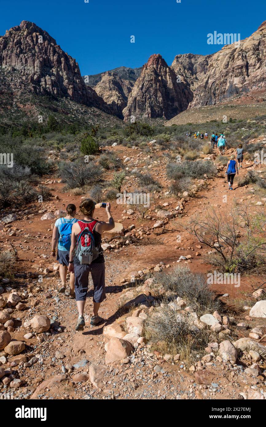 Red Rock Canyon, Nevada.  Wanderer auf Pine Creek Canyon Trail.  Mescalito Berg (mit roter Spitze) im Zentrum Hintergrund. Stockfoto