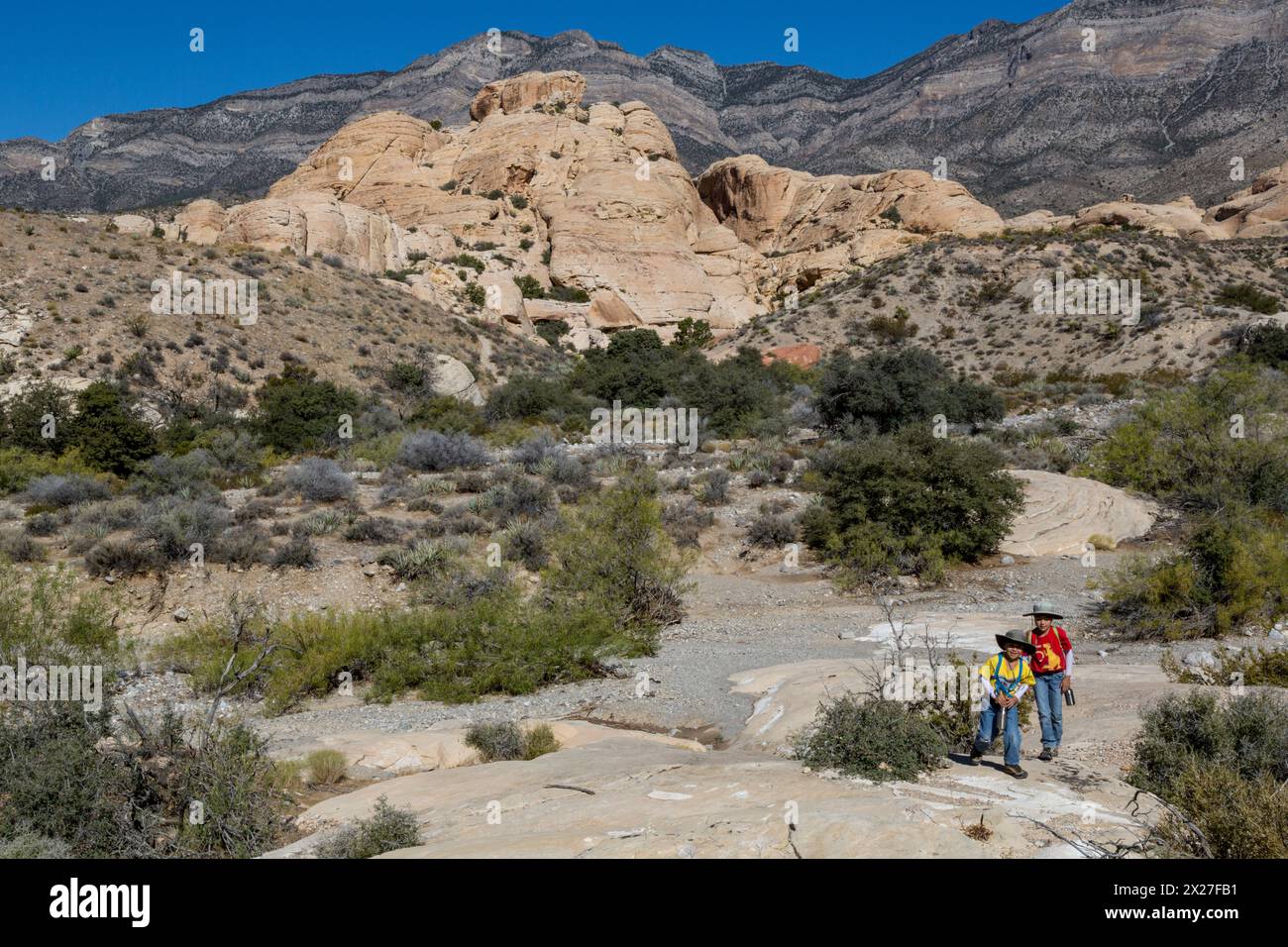 Red Rock Canyon, Nevada.  Zwei junge Boys Wandern in der Nähe von Sandstein Steinbruch.  Grauen Kalkstein Keystone Thrust im oberen Hintergrund. Stockfoto