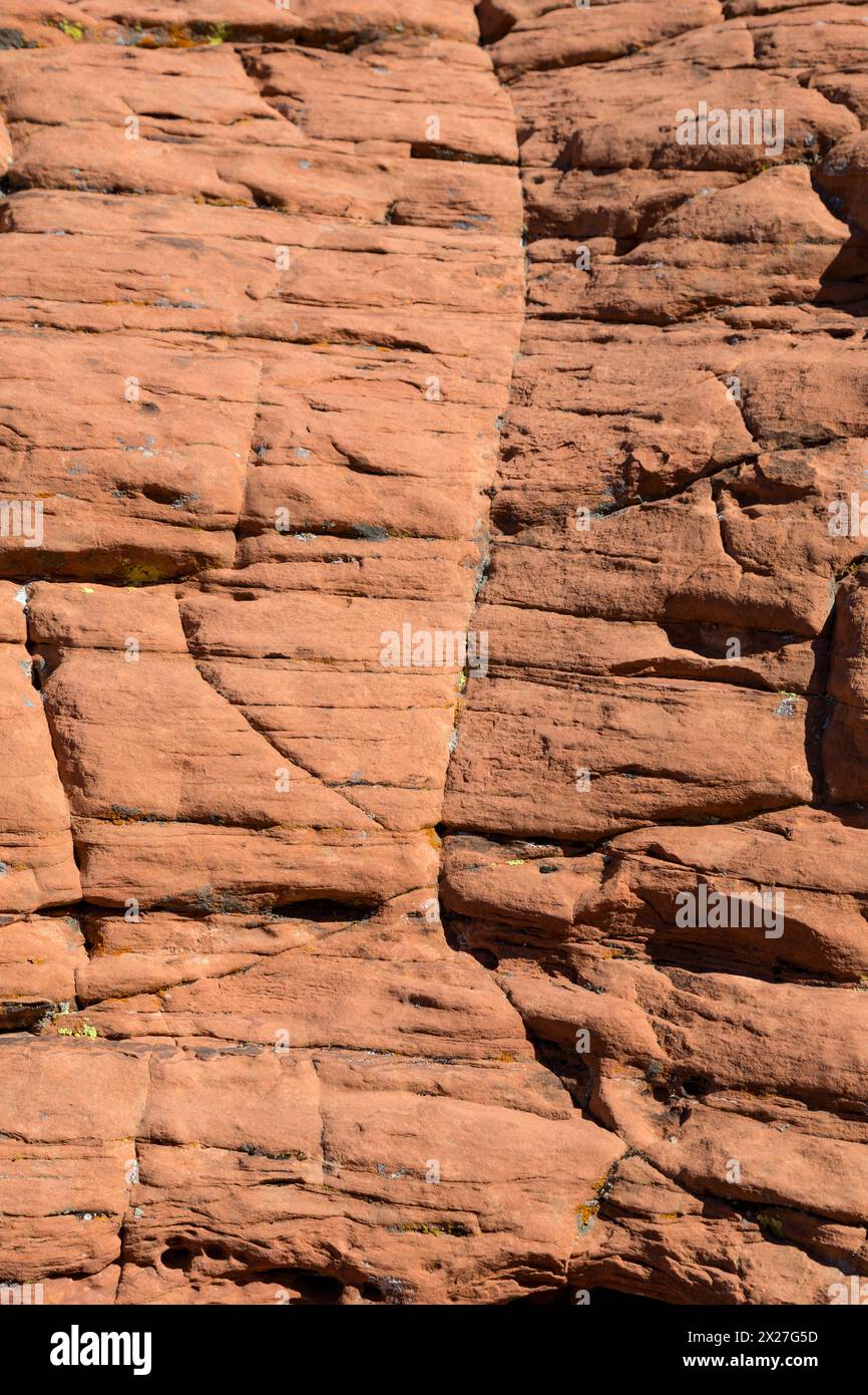 Red Rock Canyon, Nevada.  Roter Sandstein zeigen, Kreuz-Bettwäsche aus alten Sanddünen. Stockfoto