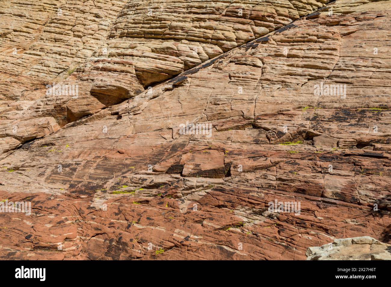 Red Rock Canyon, Nevada.  Roter Sandstein zeigt Kreuz-Bettwäsche aus alten Sanddünen auf Weg nach Calico Tanks. Stockfoto