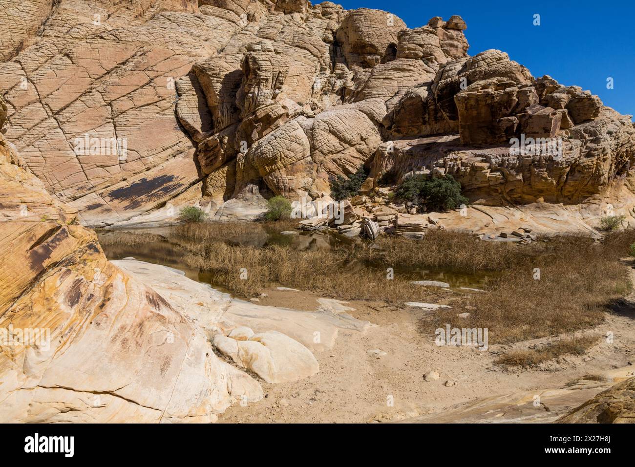 Red Rock Canyon, Nevada. Calico Tanks am Ende des Trails. Sandstein zeigt Kreuzbeete aus alten Sanddünen. Desert Varnish erscheint auf Felsen auf le Stockfoto