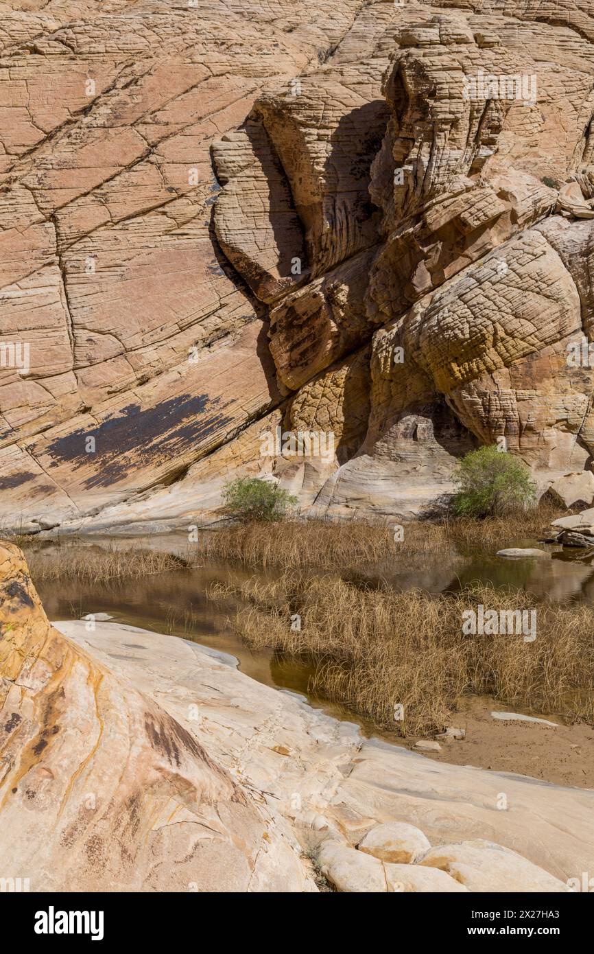 Red Rock Canyon, Nevada.  Calico Tanks am Ende des Weges.  Sandstein zeigt Cross-Bettwäsche aus alten Sanddünen. Stockfoto