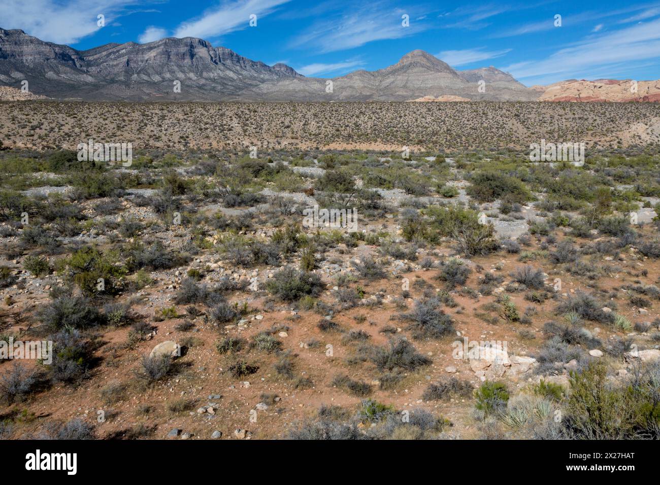 Red Rock Canyon, Nevada. Red Rock Wash, ein Arroyo, ein Dry Creek Bed oder Gully. Stockfoto