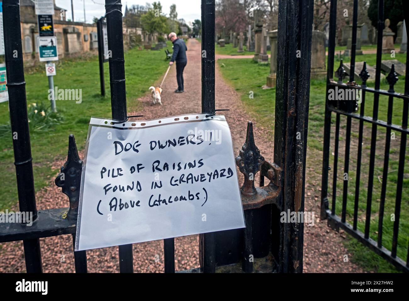 Hinweis am Tor zum Grange Friedhof, der Hundebesitzer warnt, dass Rosinen auf dem Friedhof gefunden wurden (Rosinen sind potenziell giftig für Hunde). Stockfoto