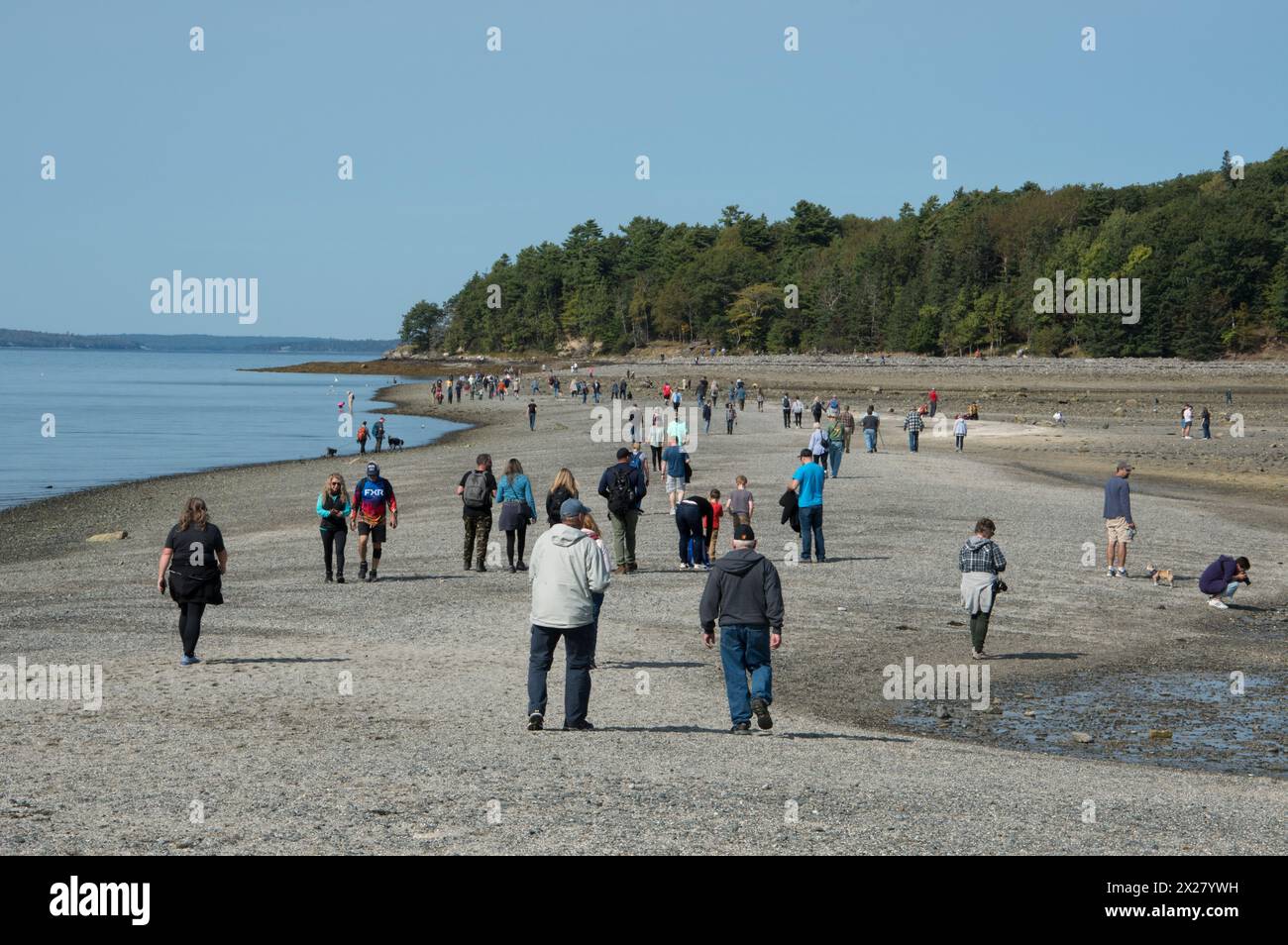 Touristen, die bei Ebbe über die exponierte Kiessandbar laufen, die Bar Harbor mit Bar Island verbindet. Mount Dessert Island, Maine, USA Stockfoto