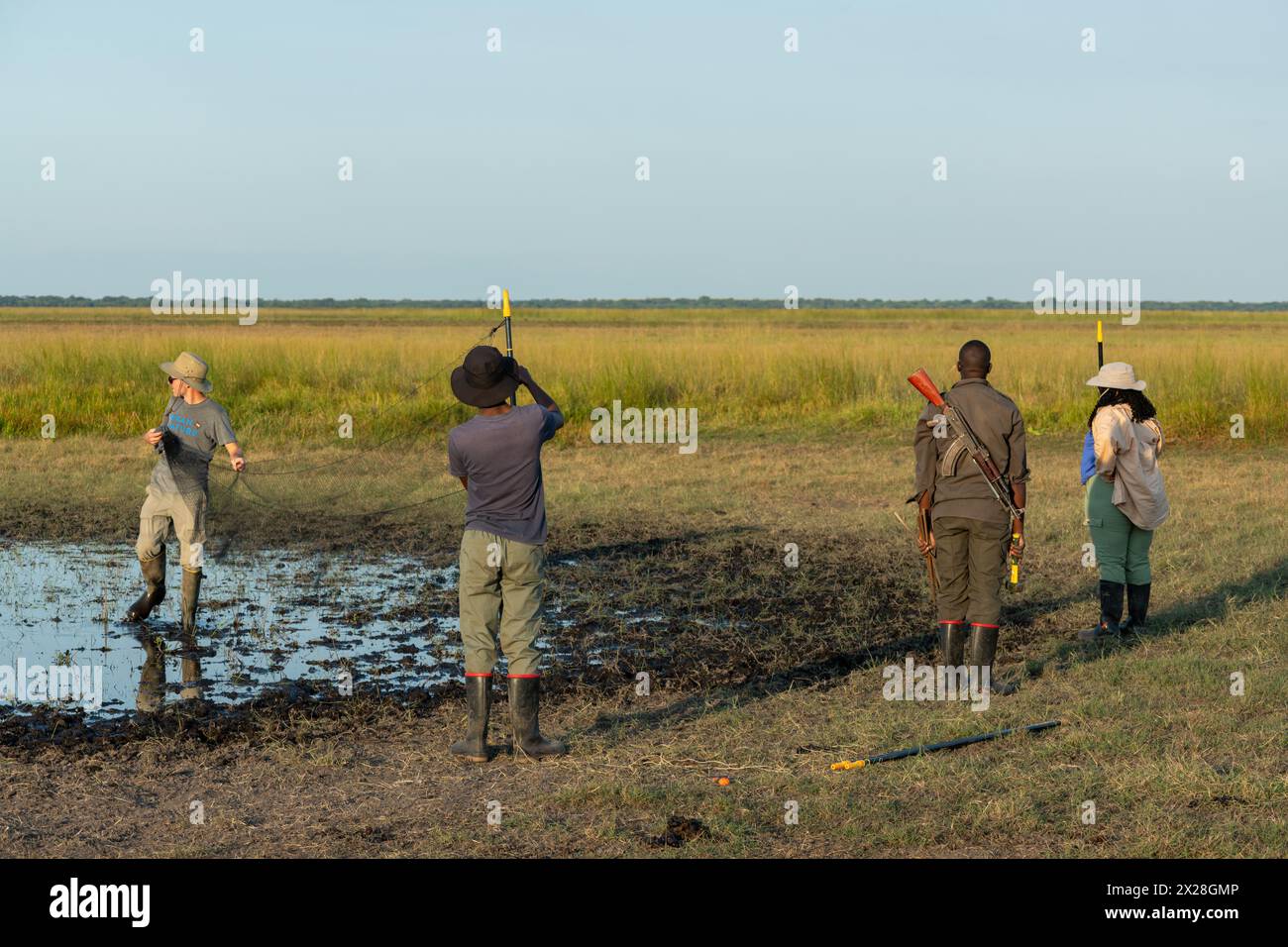 Vogelringer richten ihre Vogelnetze in einem Nationalpark mit einer bewaffneten Wache auf Stockfoto