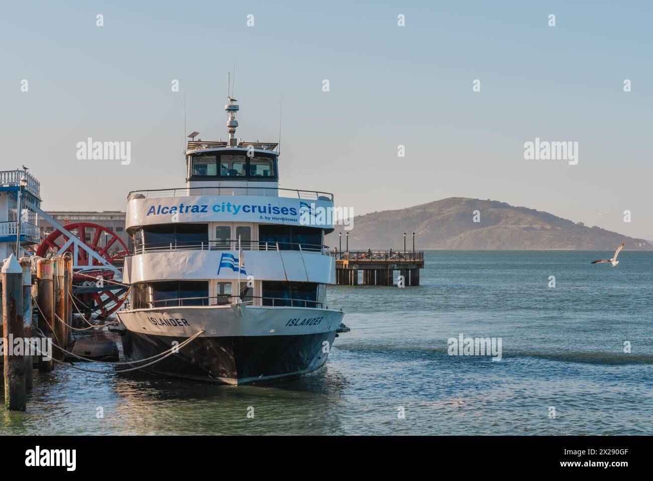 San Francisco, Kalifornien, 8. April 2024. Fähren legten an einem Pier mit dem Logo „Alcatraz City Cruises“ an, unter einem klaren blauen Himmel mit Möwen, die fliegen Stockfoto