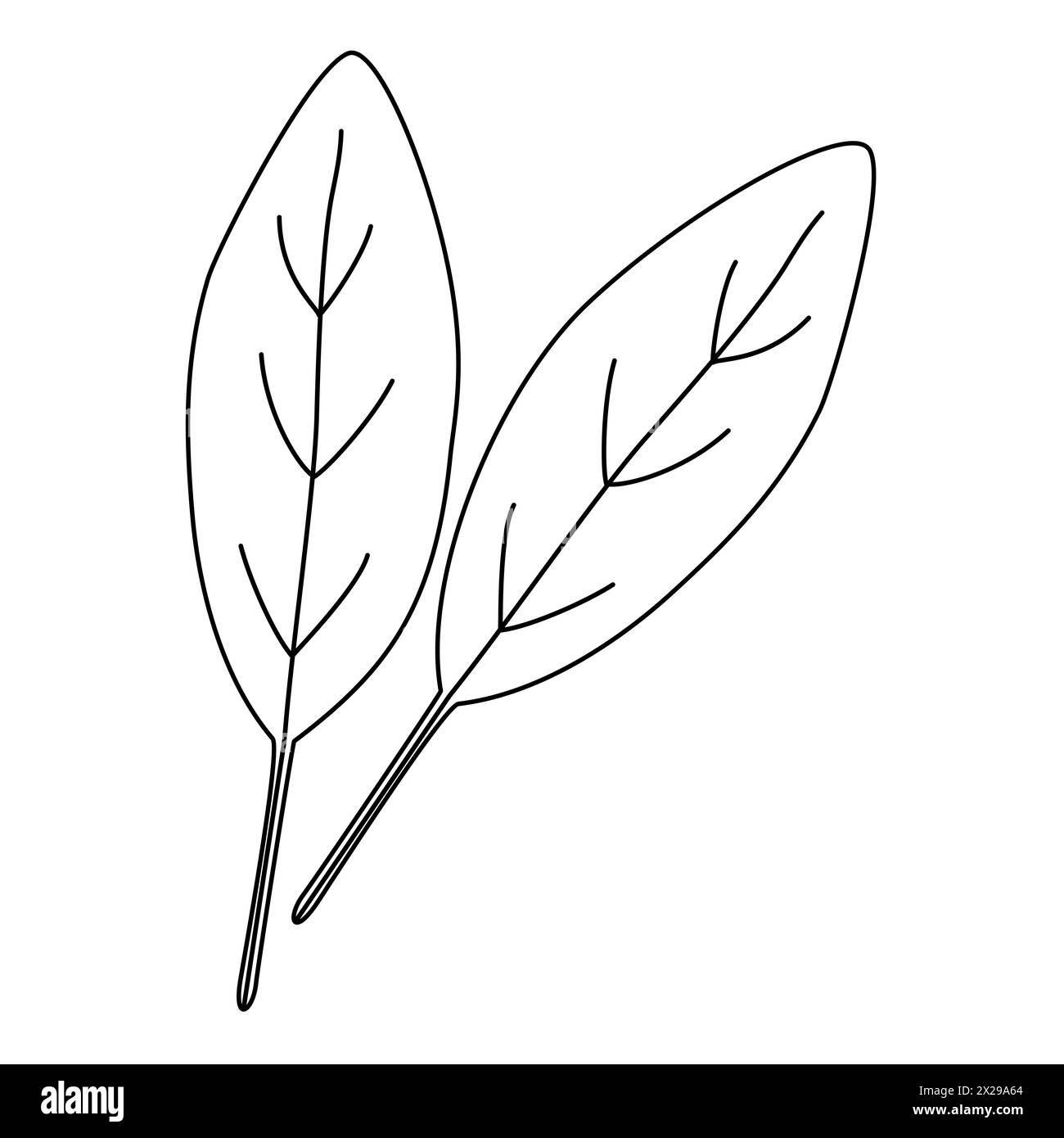 Spinat Blätter gesunde Nahrung Icon, Doodle Stil flache Vektor Umrissillustration für Kinder Malbuch Stock Vektor