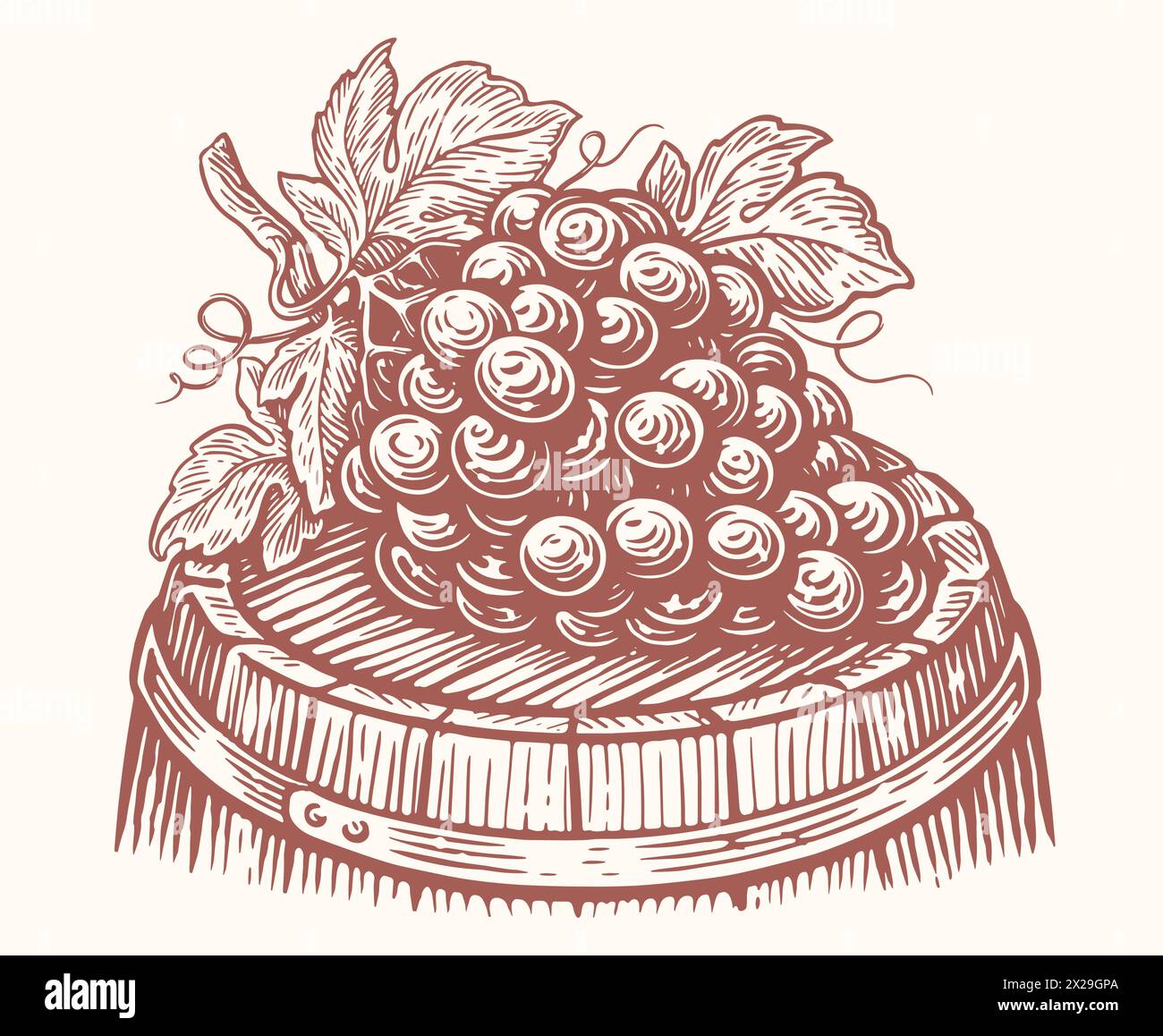Ein Haufen reifer Trauben liegt auf Holzfässern mit Wein. Weinberg, Weingut Skizze Vektor Illustration Stock Vektor