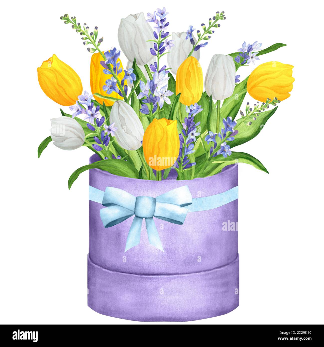 Handgezeichnete Aquarellillustration. Blumenstrauß mit weißen und gelben Tulpen, Lavendel und grünen Blättern. Frühlingsstrauß in einer Box Stockfoto