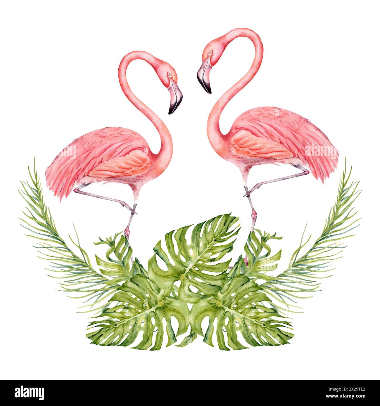 Zwei Flamingovögel mit Banane und Palmenzweige mit Monsterablättern Aquarellkomposition Hand gezeichnete Illustration isoliert auf weißem Hintergrund Stockfoto