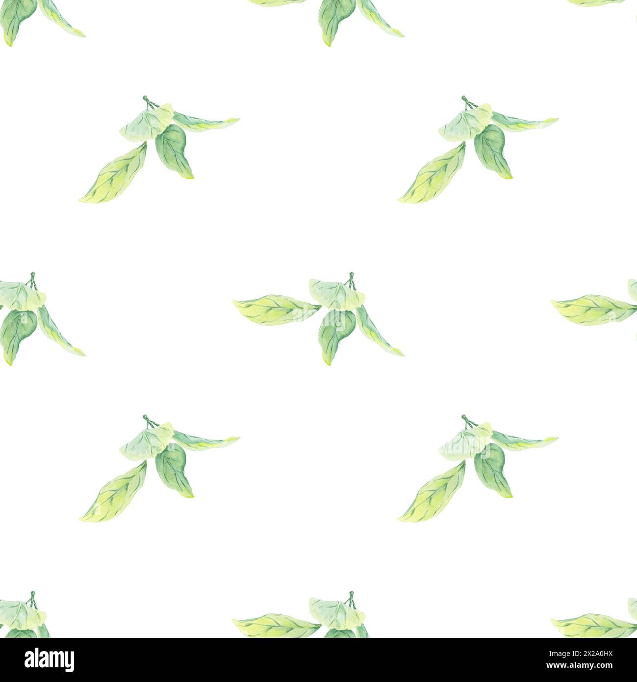 Blätter grünes Apfelfrucht Aquarell nahtloses Muster auf weißem Hintergrund, handgemalt im botanischen Stil, für Textil, Tapete, Postkarte, Hochzeit Stockfoto