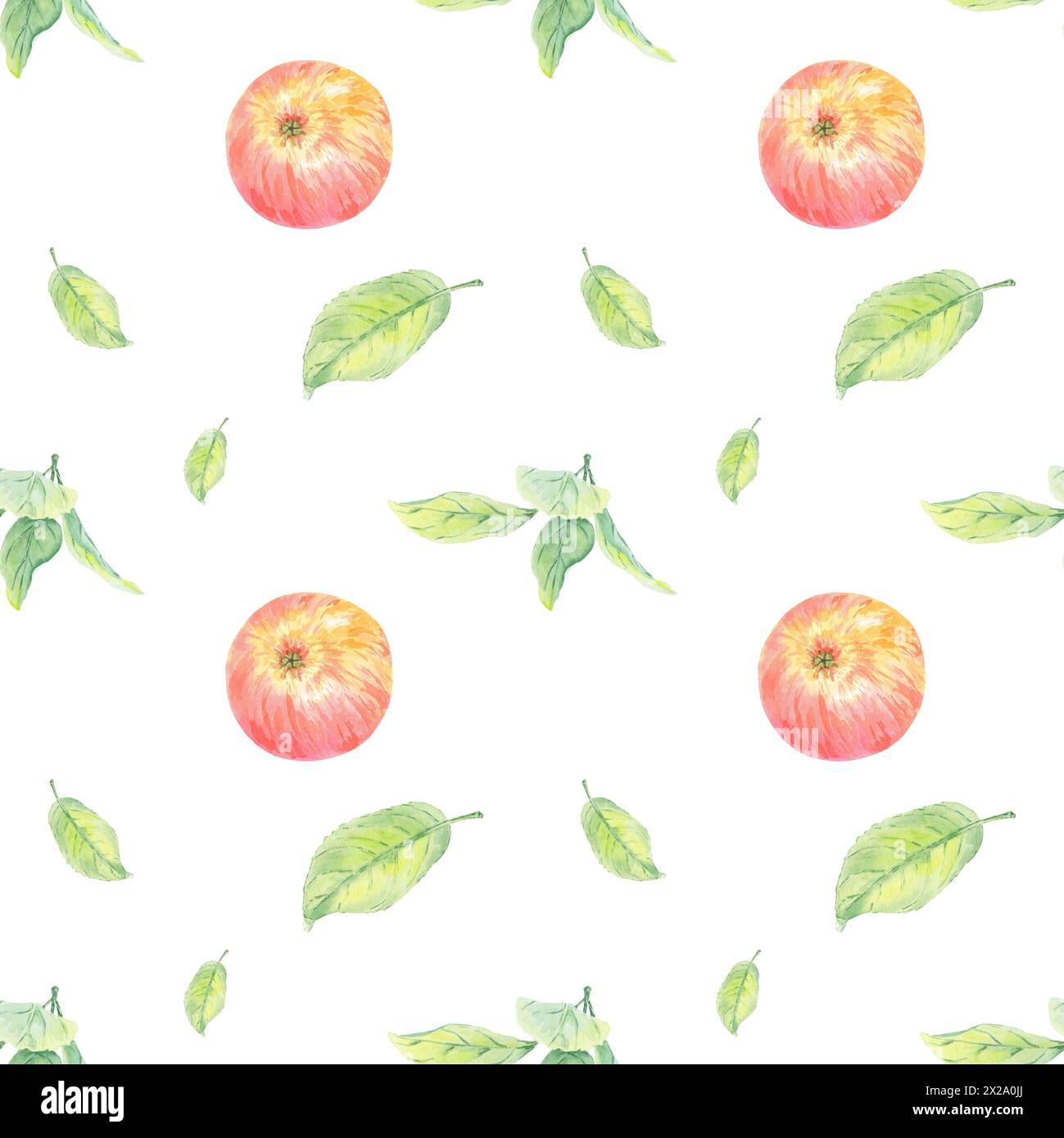 Nahtloses Muster mit Apfelkreisen und roten und grünen Blättern. Lebensmittelillustration handgemalt im botanischen Stil auf weißem Hintergrund für Textil Stockfoto
