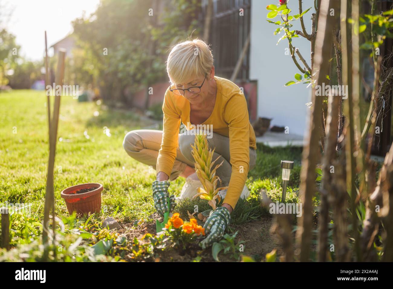 Glückliche Seniorin, die in ihrem Garten gärtet. Sie benutzt Rechen. Stockfoto