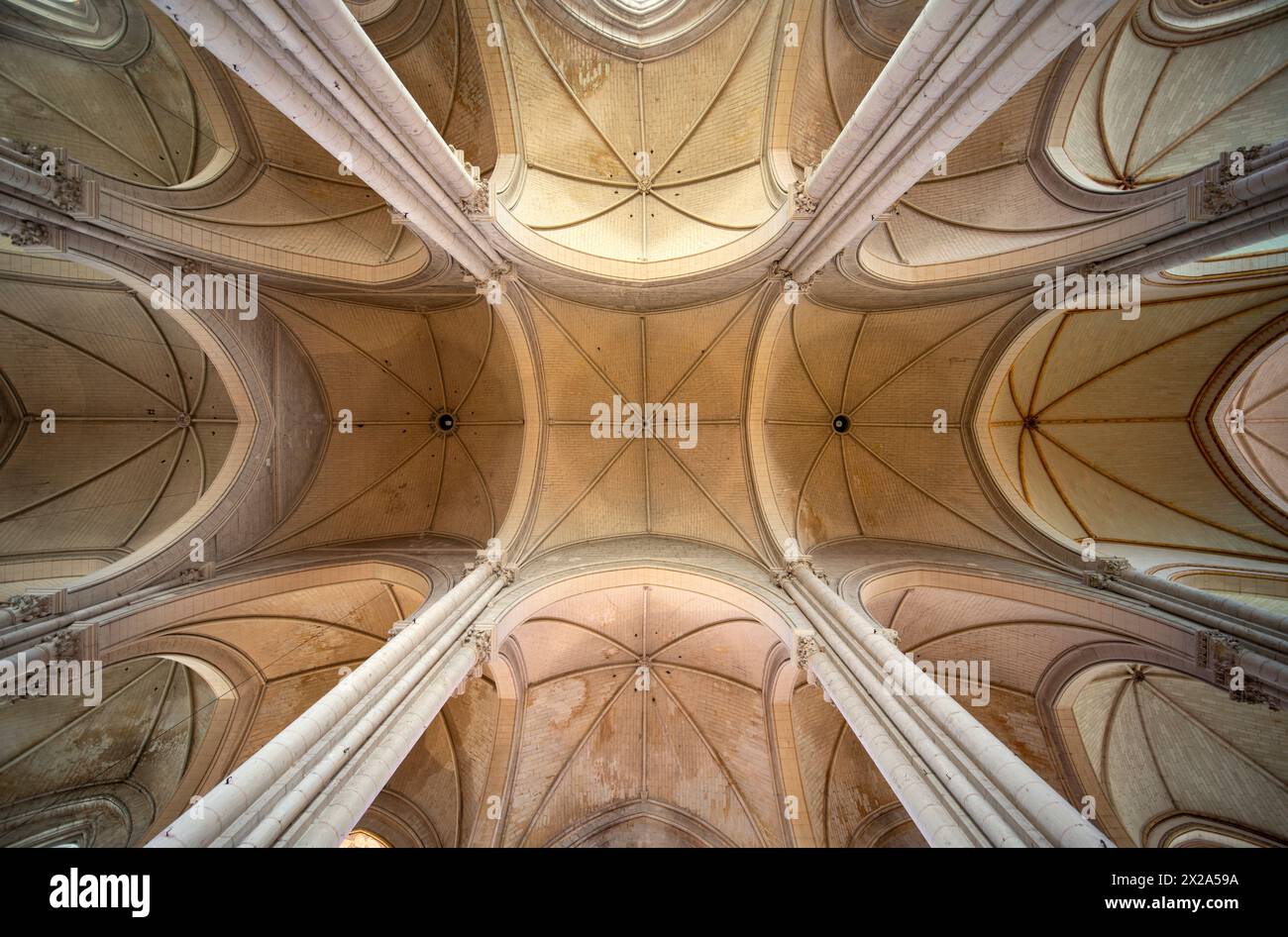 Poitiers, Kathedrale St-Pierre, Gewölbe im Langhaus Stockfoto