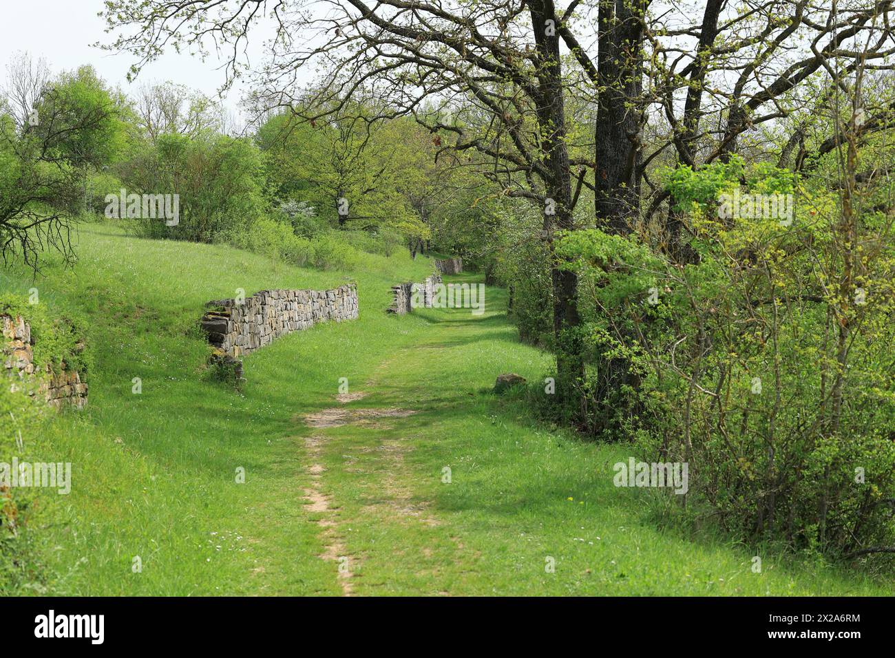 Wanderweg über Gras in Heckengäu bei Iptingen Stockfoto