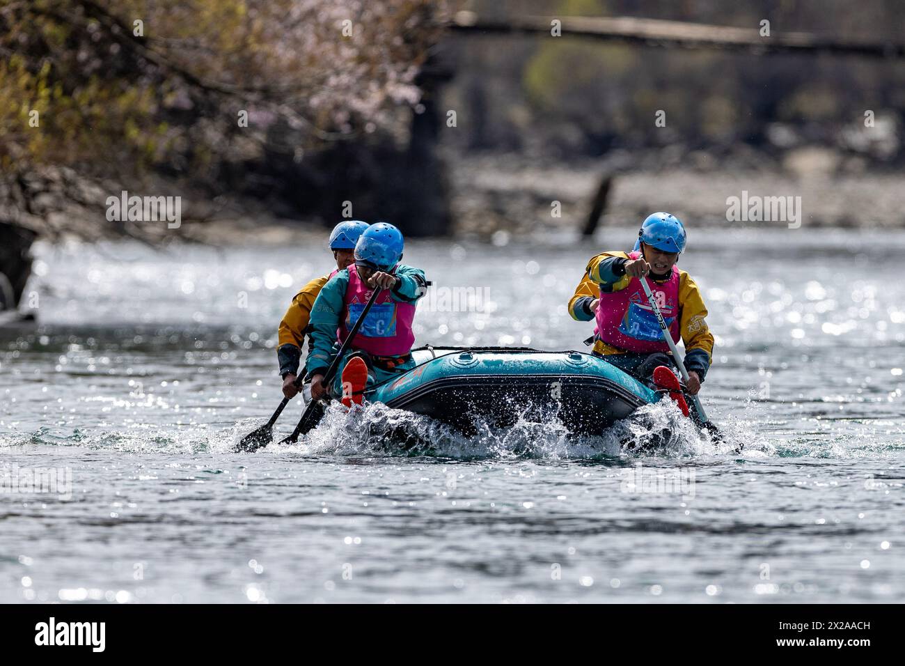 Nyingchi, Chinas autonome Region Xizang. April 2024. Ein Team aus Chengdu tritt am 21. April 2024 bei den Basum TSO International Rafting Open in Nyingchi, der Autonomen Region Xizang im Südwesten Chinas, an. Quelle: Jiang Fan/Xinhua/Alamy Live News Stockfoto