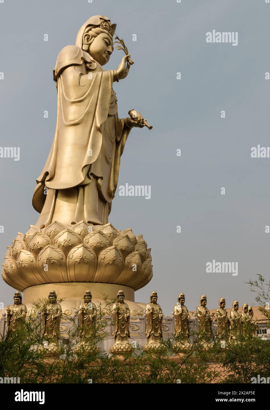 Bangkok, Thailand - 11. April 2024 - große goldene Statue Göttin der Barmherzigkeit Guanyin oder Quan Yin Statue im Fo Guang Shan Thaihua Tempel. Guan Yin Buddha, Tai Stockfoto