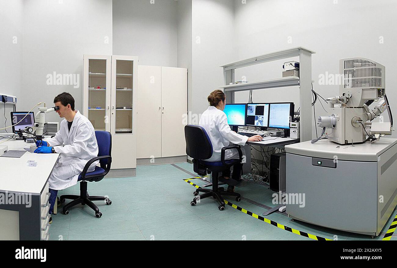 Das Umweltrasterelektronenmikroskop ESEM QuantaTM 250 FEG ermöglicht den Zugang zu Untersuchungen von nassen biologischen Proben, Nano-Bio-Verbundwerkstoffen und Nano-fl Stockfoto