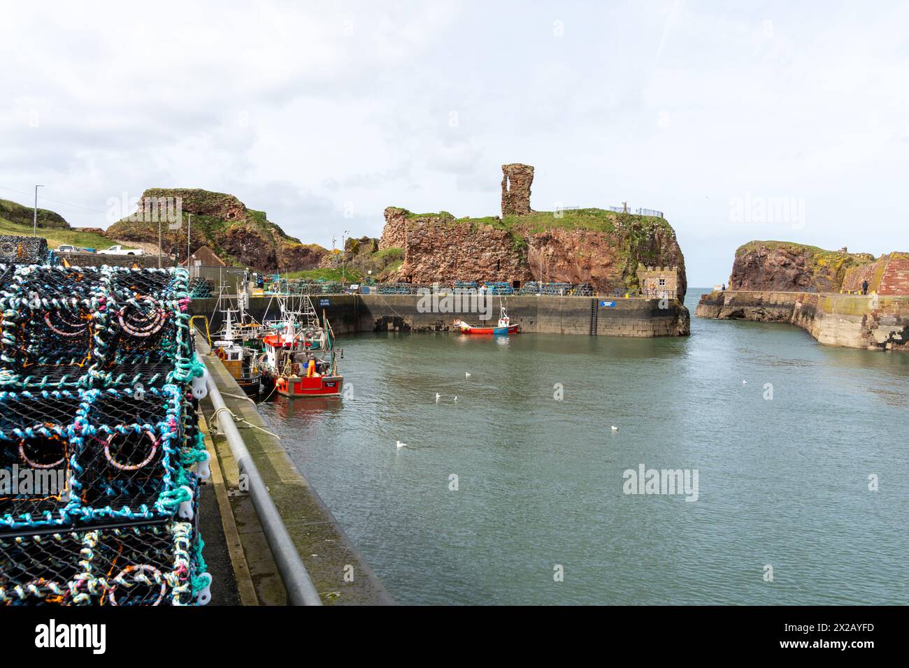 Blick auf den Hafen in der schottischen Fischerstadt Dunbar, Schottland, Großbritannien, einschließlich Dunbar Castle. Stockfoto