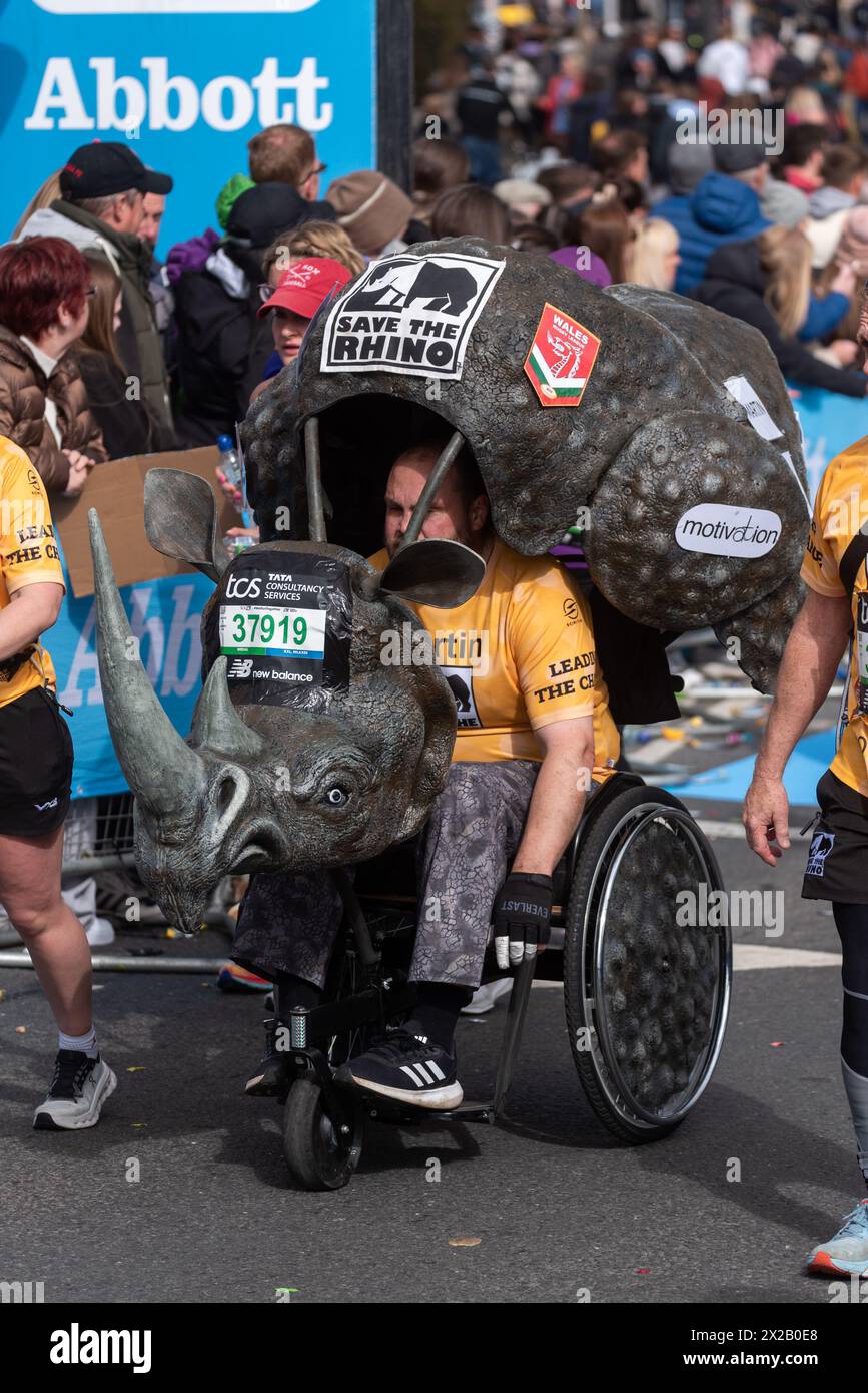 Tower Hill, London, Großbritannien. April 2024. Rund 50.000 Menschen nehmen am TCS London Marathon 2024 Teil, darunter die weltbesten Elite-Läufer und Rollstuhlsportler. Die Massen von Club- und Fun-Läufern folgen ihnen, wobei viele große Summen für wohltätige Zwecke sammeln und oft in schicken Kleidern laufen und für verschiedene Klassen Guinness-Weltrekorde anstreben. Rugbyspieler Martin Turner im Rollstuhl-Nashorn-Kostüm Stockfoto