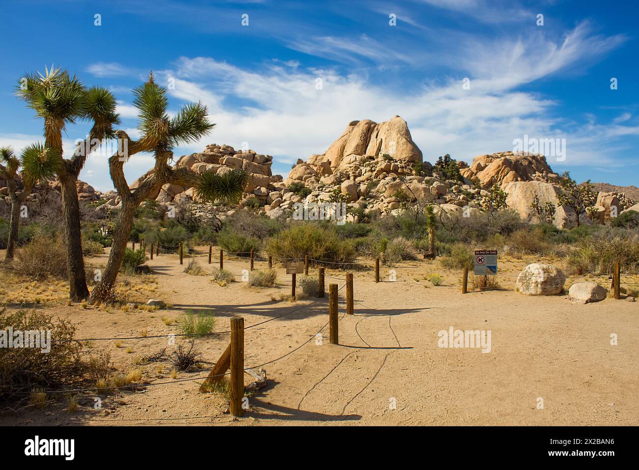 Eintritt zum Barker Dam Trail im Joshua Tree National Park, Kalifornien, USA Stockfoto