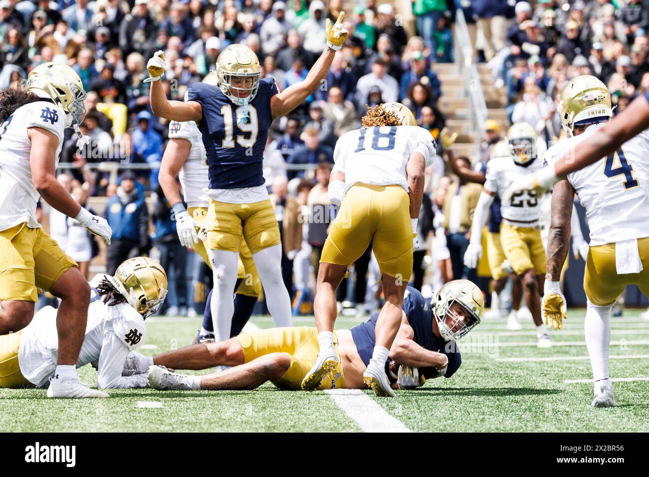 20. April 2024: Notre Dame Tight End Eli Raridon (9) erzielt beim Notre Dame Annual Blue Gold Spring Football Game im Notre Dame Stadium in South Bend, Indiana einen Touchdown. John Mersits/CSM. (Bild: © John Mersits/Cal Sport Media) Stockfoto