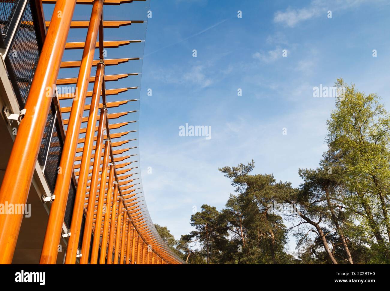 Moderne Holzarchitektur fügt sich nahtlos in die Natur und die Landschaft ein und harmoniert mit zeitgenössischem Design und natürlicher Umgebung Stockfoto