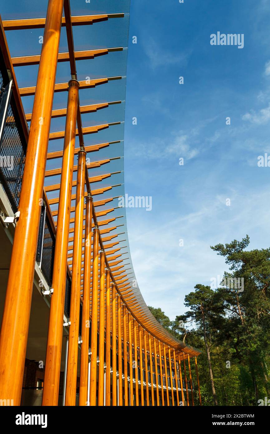 Moderne Holzarchitektur fügt sich nahtlos in die Natur und die Landschaft ein und harmoniert mit zeitgenössischem Design und natürlicher Umgebung Stockfoto