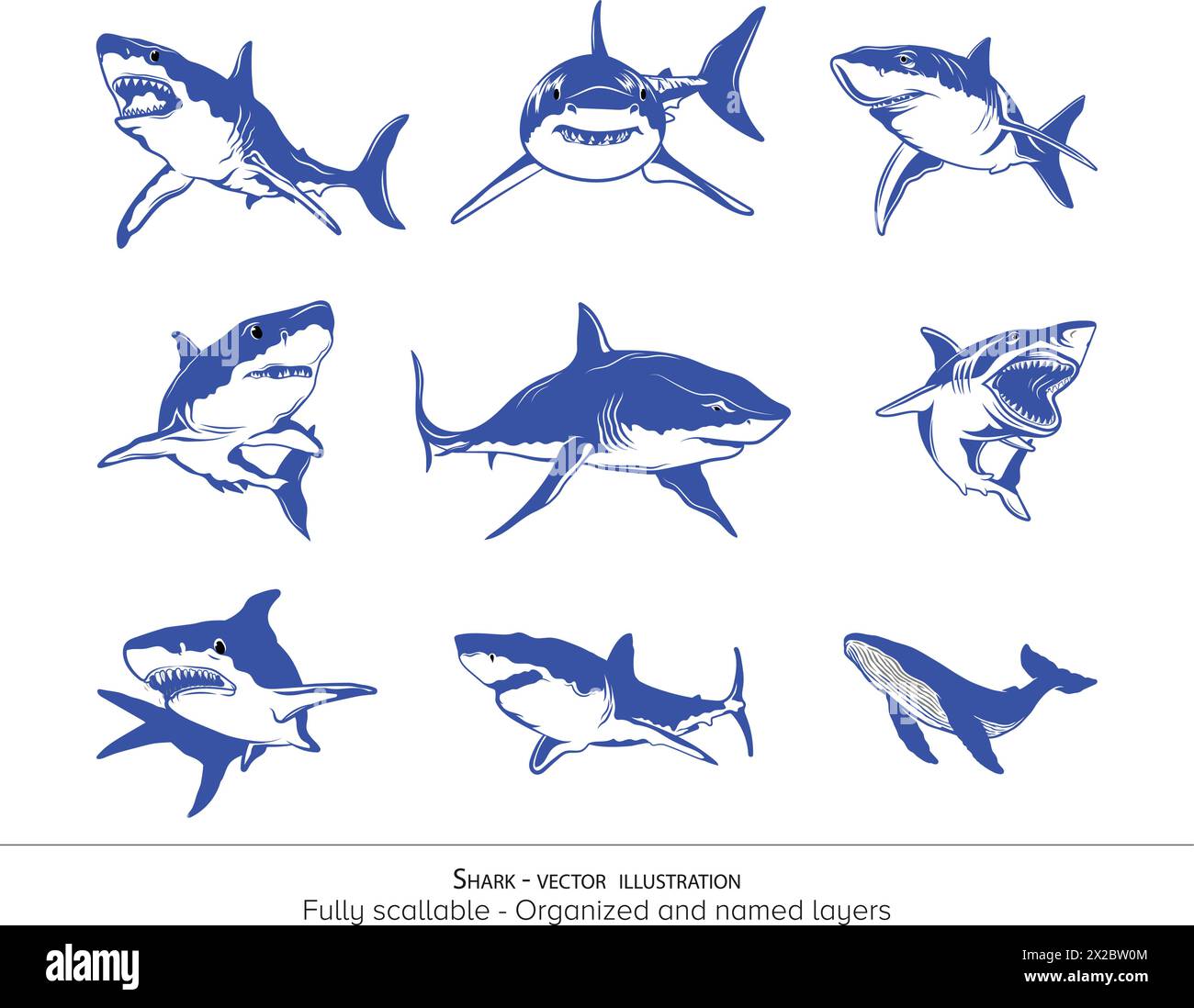 Whale Shark Vektor Illustration Set Sammlung Bundle - Weiß Transparenter Hintergrund Stock Vektor