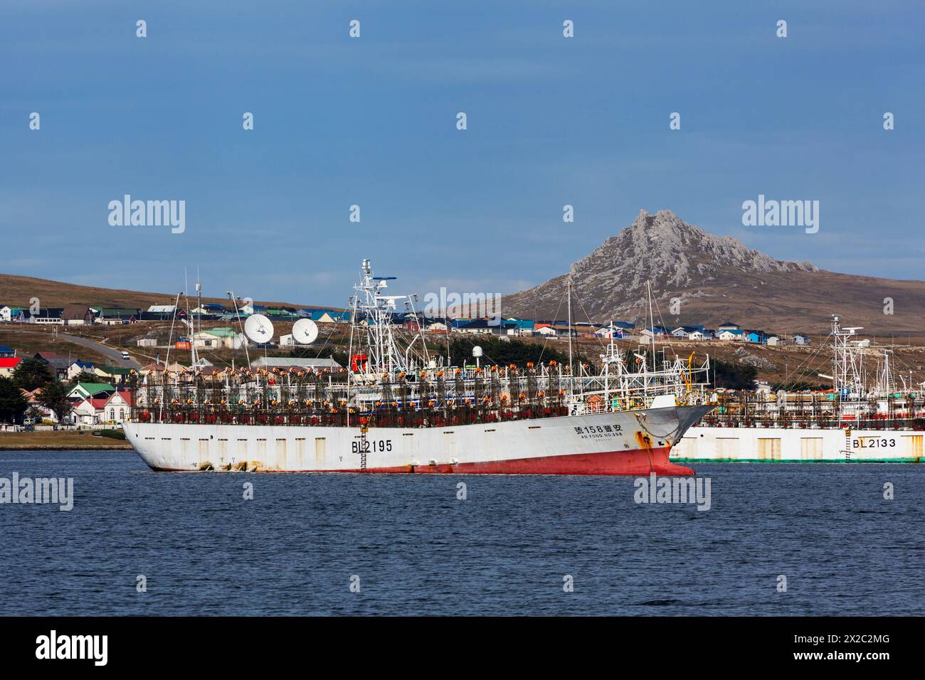 Taiwanesisches Tintenfischboot, Port Stanley, Falklandinseln, Großbritannien Stockfoto