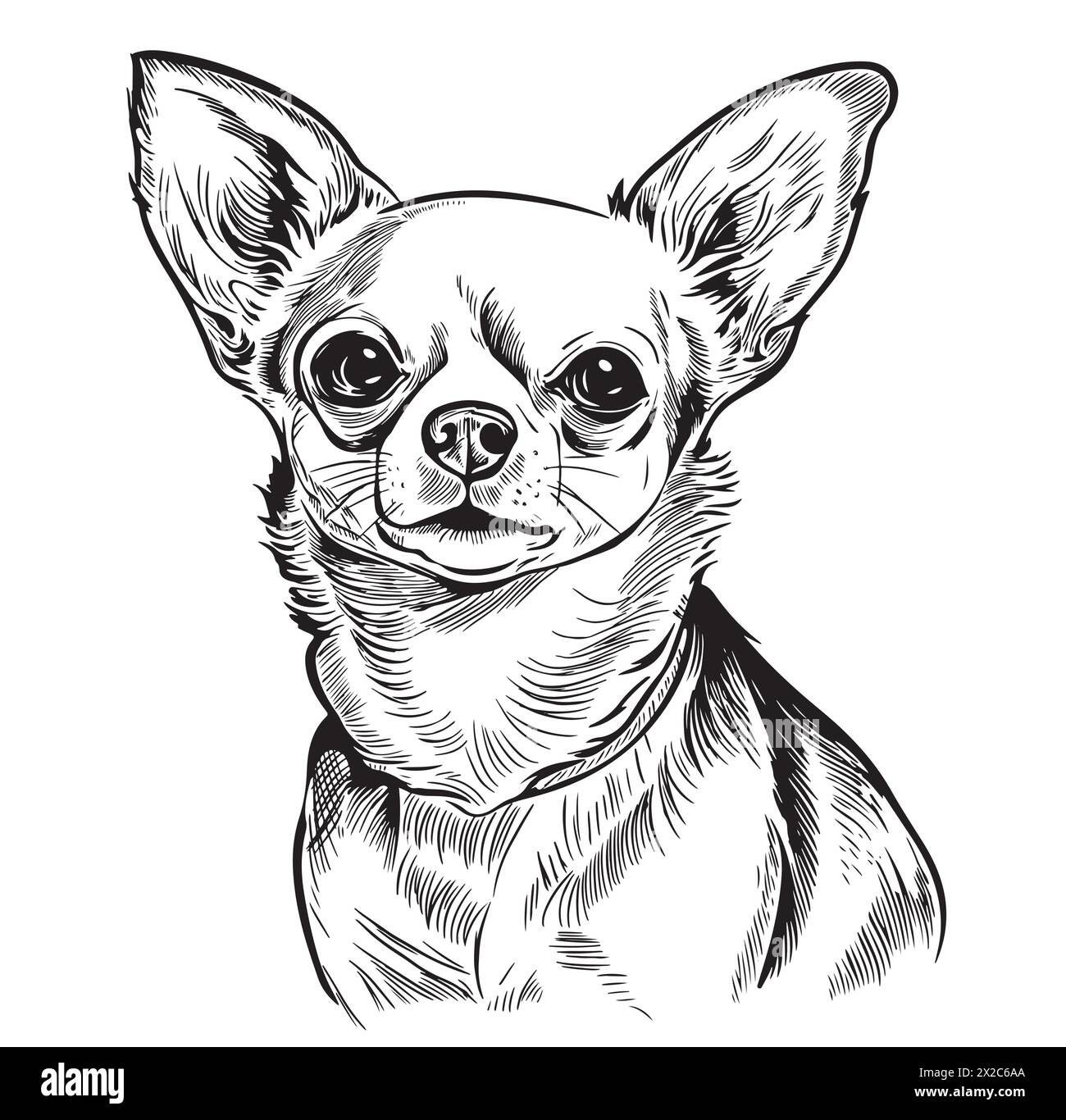 Ein lächelnder chihuahua, eine kleine Hunderasse, dargestellt in einer schwarz-weißen Zeichnung. Dieses fleischfressende, arbeitende Tier hat Barthaare und eine süße Schnauze. Ein Compani Stock Vektor