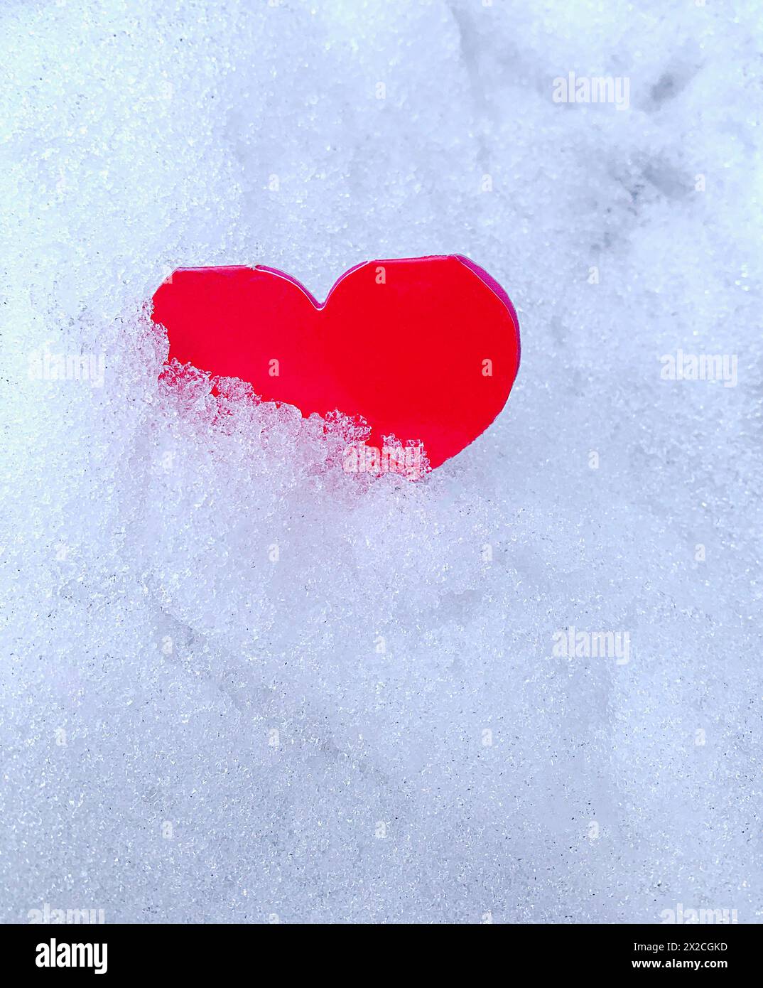 Herzpostkarte im Schnee geworfen, gebrochene Gefühle, Valentinstag, Liebe ist überall Stockfoto