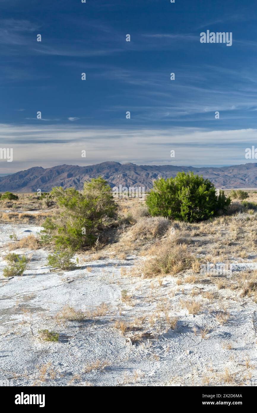 Natriumsesquicarbonat, Trona bedeckt Teile des Owens Dry Lake, natürliches Mineral, Panamint Mountains. Stockfoto