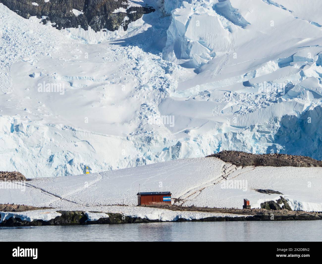 Caillet-Bois Refuge auf D’Hainaut Island, Mikkelsen Harbour, Trinity Island, Antarktis Stockfoto