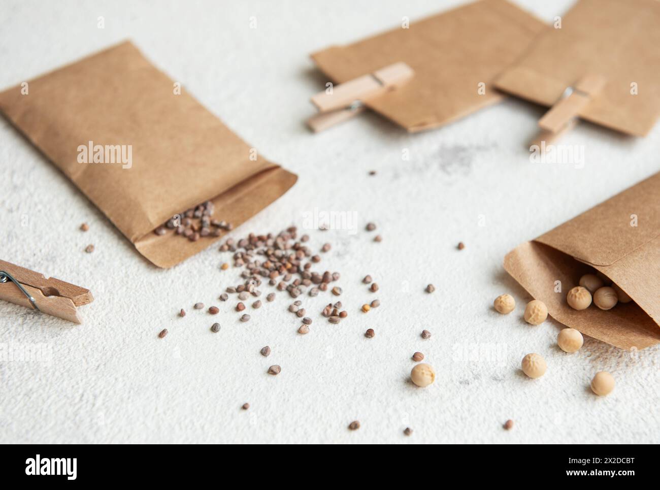 Papiertüten mit Samen zum Pflanzen auf einem weißen Holztisch Stockfoto